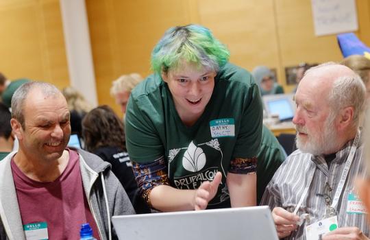 Contribution mentoring