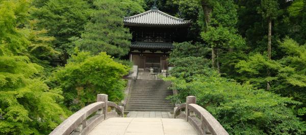 A photo of a temple in Nara, Japan, nestled in a lush green forest behind a stone arch bridge